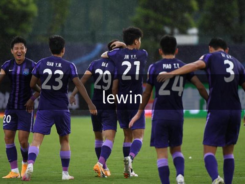 Lewin乐玩·(集团)公司